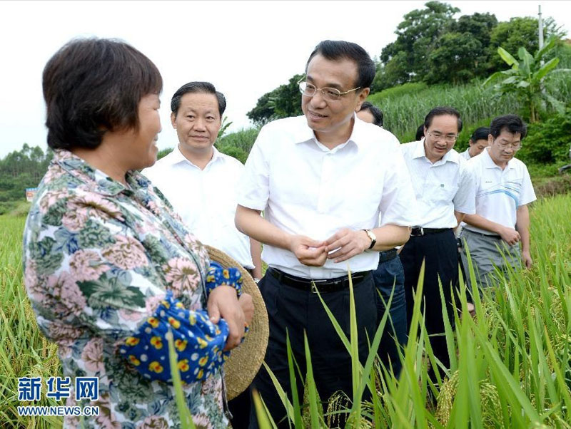 7月8日至10日,中共中央政治局常委、国务院总理李克强到广西北海、钦州、南宁考察。这是7月9日,李克强走进南宁冲陶村的稻田,了解田间管理、农业技术服务和收获保管等情况。 新华社记者马占成摄