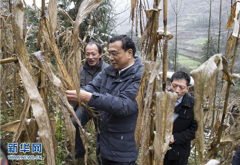 2012年12月27日至30日,中共中央政治局常委、国务院副总理李克强到江西九江、湖北恩施调研。这是12月29日,李克强在湖北恩施龙凤镇青堡村,踩着泥滑山坡道攀上路边陡坡,察看挂坡地种植的艰难。 新华社记者 黄敬文 摄