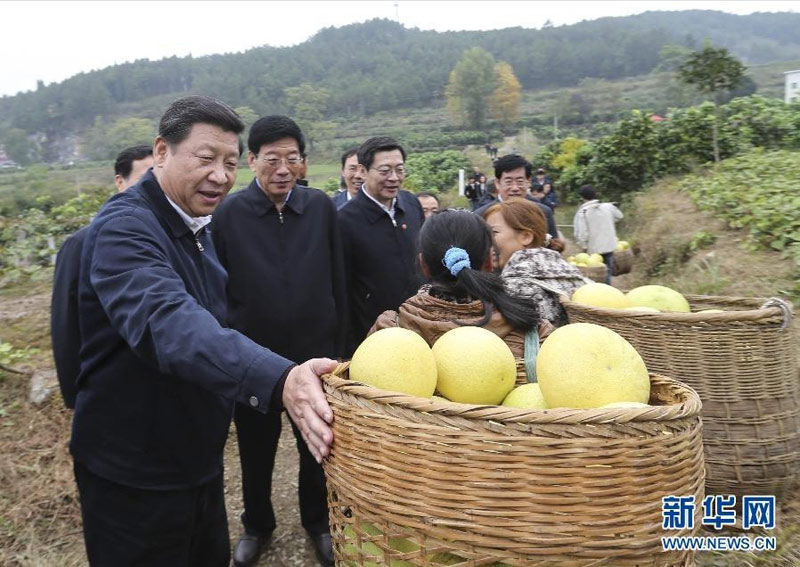 11月3日至5日,中共中央总书记、国家主席、中央军委主席习近平在湖南考察。这是3日下午,习近平到湘西土家族苗族自治州凤凰县廖家桥镇菖蒲塘村调研时给村民侧身让路。新华社记者兰红光摄