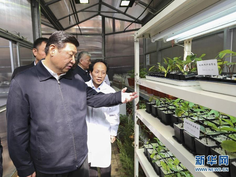 11月3日至5日,中共中央总书记、国家主席、中央军委主席习近平在湖南考察。这是4日上午,习近平在中南大学国家重金属污染防治工程技术研究中心了解重金属污染土壤修复技术的研发应用情况。新华社记者兰红光摄