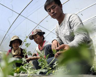 張小波：老百姓高興 我心裡就踏實
