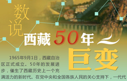 ��˵����50��ޱ�