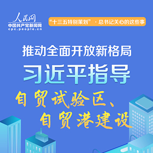 習近平指導自貿試驗區、自貿港建設