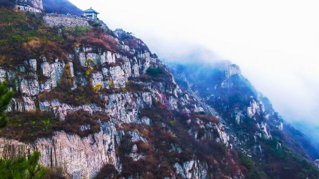 山东