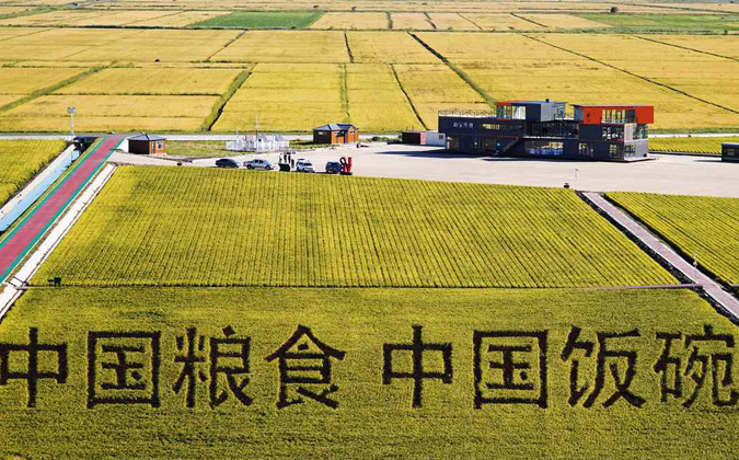 喜迎二十大｜黑龙江：龙腾虎跃全面振兴开新局