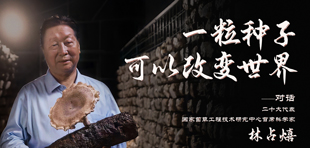 �Ի���ʮ�����ح��ռ�磺һ�����ӿ��Ըı�����