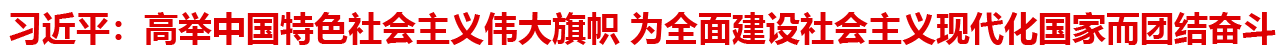 ϰ��ƽ���߾��й���ɫ�������ΰ������ Ϊȫ�潨����������ִ������Ҷ��Ž�ܶ�