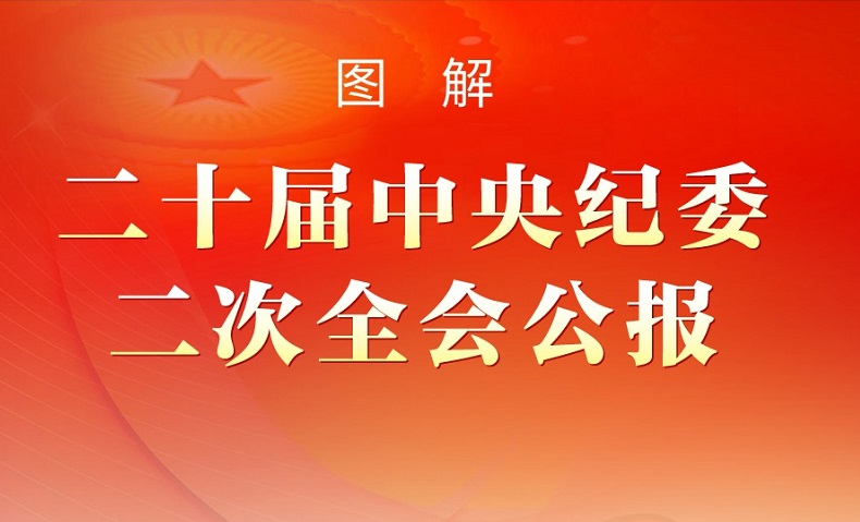 图解丨二十届中央纪委二次全会公报