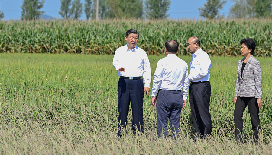 关注农业高质量发展
习近平黑龙江之行心系“大国粮仓”
黑土地、北大仓。全国每9碗饭,就有1碗产自黑龙江。要让“中国碗”装满“中国粮”。看田地、察民情、问灾情、谈振兴,总书记始终心系人民,“时时放心不下”。