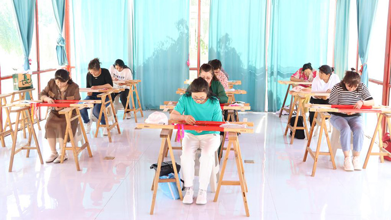 草原上，团结之花在针尖绽放