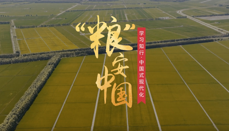 “粮”安中国
粮食安全是“国之大者”,“持续增强粮食等重要农产品供给保障能力”,是今年中央一号文件部署的重点任务。新装备新模式新技术正革新传统农业,为现代化大农业注入全新活力。
