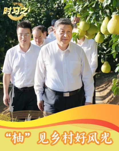 时习之丨“柚”见乡村好风光