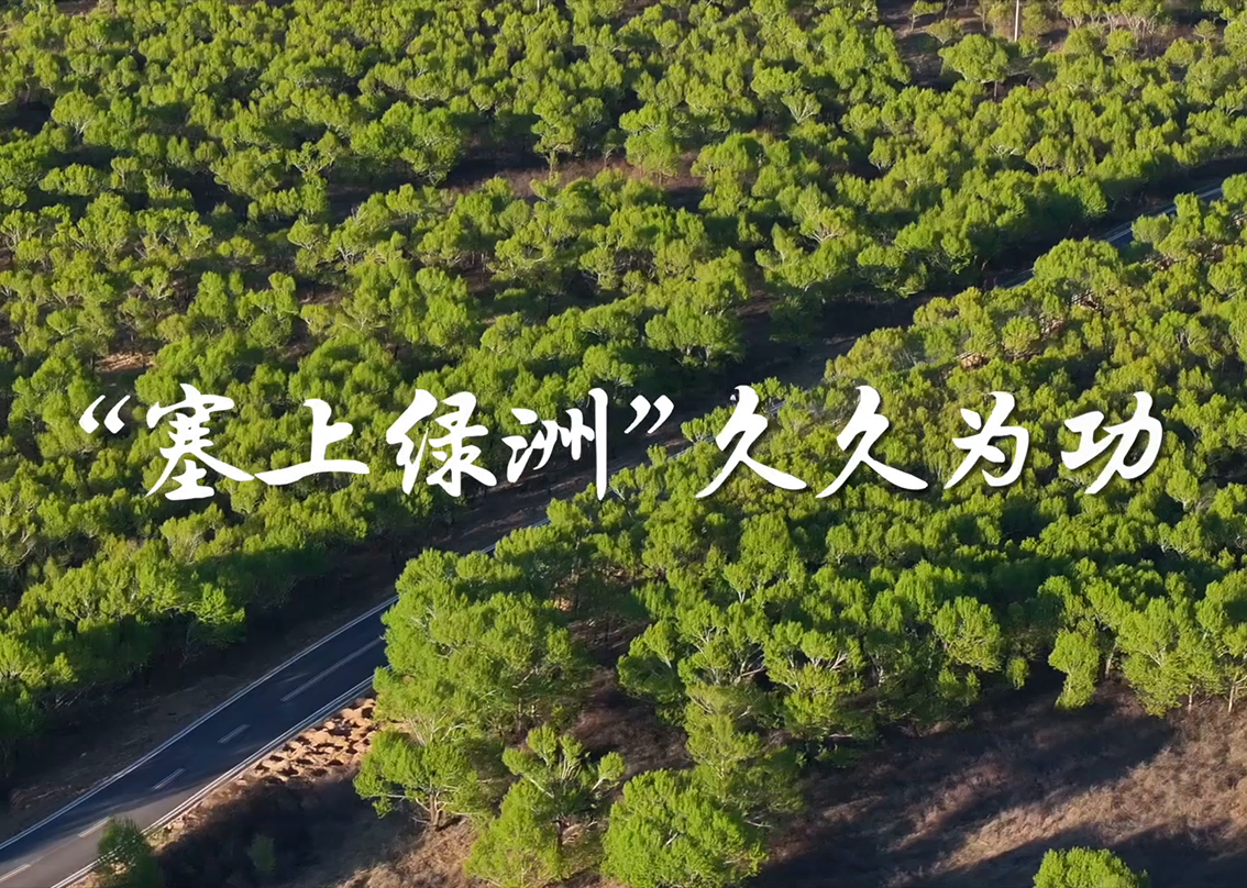 學習·故事丨“塞上綠洲”久久為功真正的政績,從來不是寫在紙上、挂在嘴上的虛功,而是留在綠水青山間、刻在百姓心坎裡的實績。
防沙治沙猶如“滾石上山”,具有長期性、艱巨性、反復性和不確定性,容不得半分歇腳鬆懈。在習近平生態文明思想指引下,黃沙退卻、綠色延展,中國正成為全球荒漠生態治理新標杆。