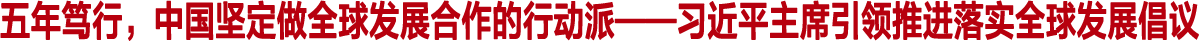 五年笃行，中国坚定做全球发展合作的行动派——习近平主席引领推进落实全球发展倡议