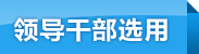 领导干部选用
