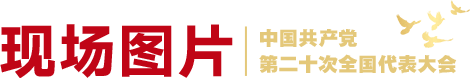 现场图片栏目条